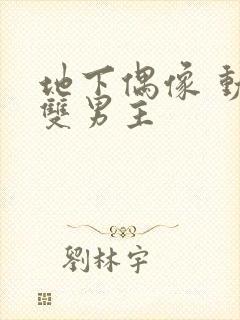 地下偶像 动漫双男主