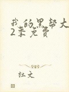 我的黑帮大佬第2季免费