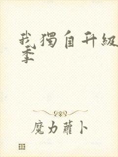 我独自升级第六季