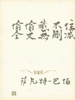 偷偷藏不住小说全文无删减封面