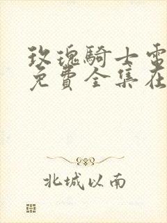 玫瑰骑士电视剧免费全集在线观看封面