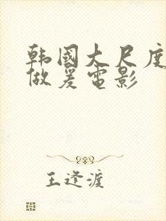 韩国大尺度激情做爰电影封面