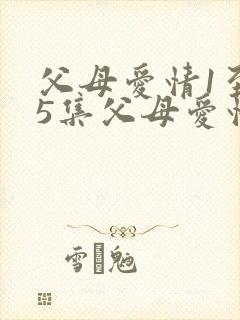 父母爱情1至45集父母爱情原著小说