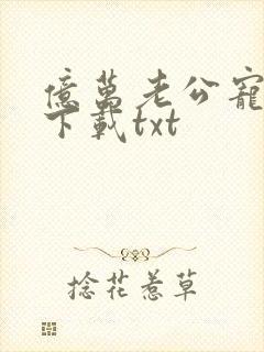 亿万老公宠上瘾下载txt封面