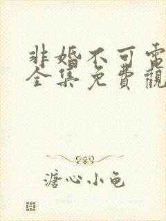 非婚不可电视剧全集免费观看