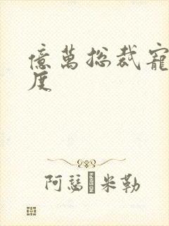 亿万总裁宠妻无度