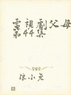 电视剧父母爱情第44集