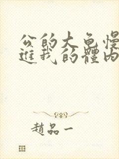 公的大龟慢慢挺进我的体内