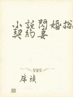 小说闪婚总裁的契约妻