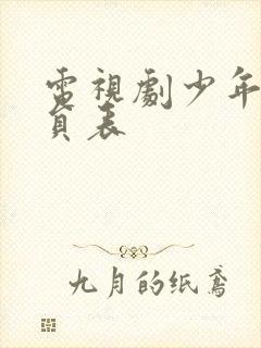 电视剧少年派演员表