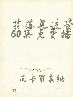 花落见流萤短剧60集免费播放下载