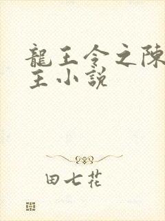 龙王令之陈平殿主小说