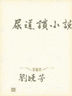 尿道锁小说封面