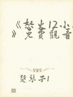 《怒火12小时》免费观看完整版