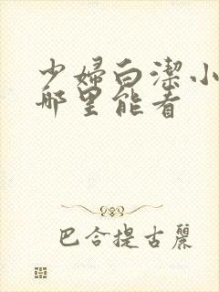 少妇白洁小说在哪里能看封面