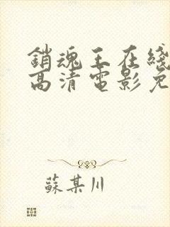 销魂王在线观看高清电影免费