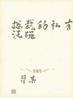 总裁的私有宝贝洗碗封面
