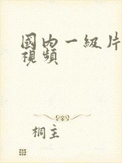 国内一级片内射视频