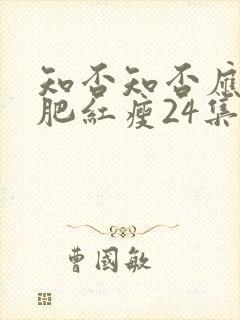 知否知否应是绿肥红瘦24集