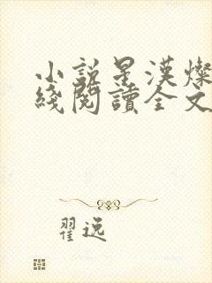 小说星汉灿烂在线阅读全文