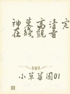 神墓高清完整版在线观看