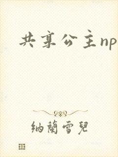 共享公主npc封面