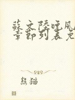 苏文陆晚风最新章节列表免费阅读