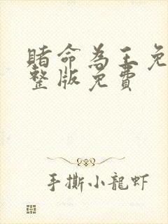 赌命为王免费完整版免费封面