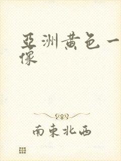 亚洲黄色一级录像