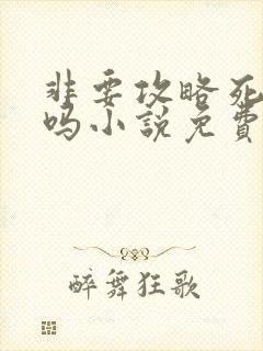 非要攻略死对头吗小说免费阅读