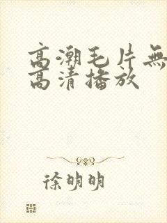 高潮毛片无遮挡高清播放