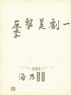 反击美剧一共几季