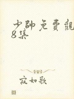 少帅免费观看48集