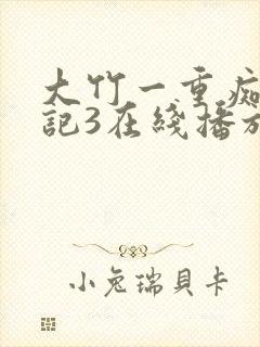 大竹一重痴汉日记3在线播放