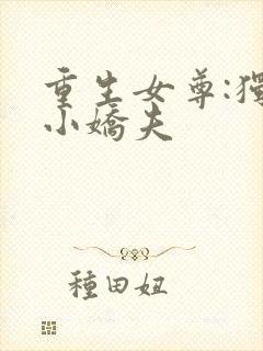 重生女尊:独宠小娇夫
