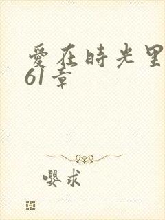 爱在时光里流转61章