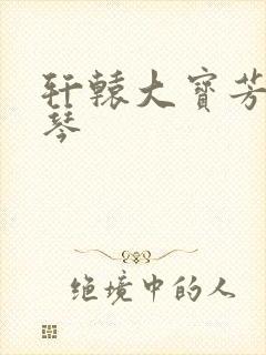 轩辕大宝芳菲雅琴