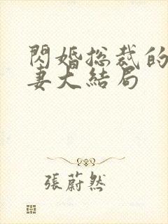 闪婚总裁的契约妻大结局封面