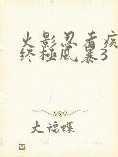 火影忍者疾风传终极风暴3