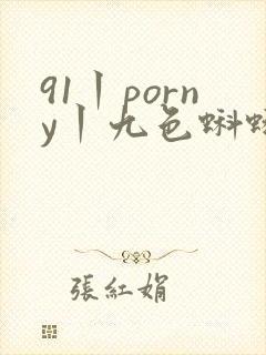 91丨porny丨九色蝌蚪