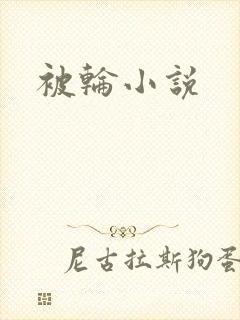 被轮小说