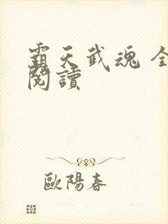 霸天武魂 全文阅读