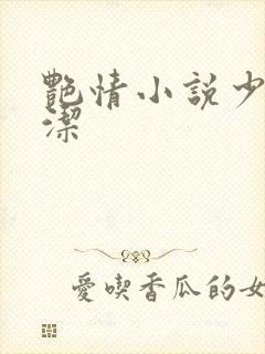 艳情小说少妇白洁