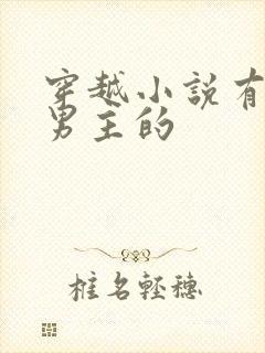 穿越小说有7个男主的