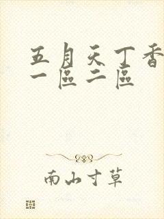 五月天丁香婷婷一区二区