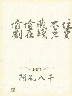 偷偷藏不住电视剧在线免费看封面