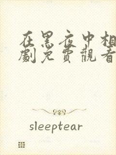 在黑夜中相拥短剧免费观看