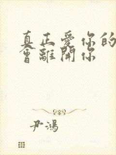 真正爱你的人不会离开你封面