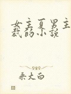 女主夏男主傅总裁的小说