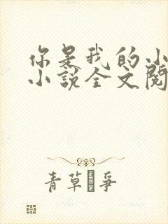 你是我的小确幸小说全文阅读